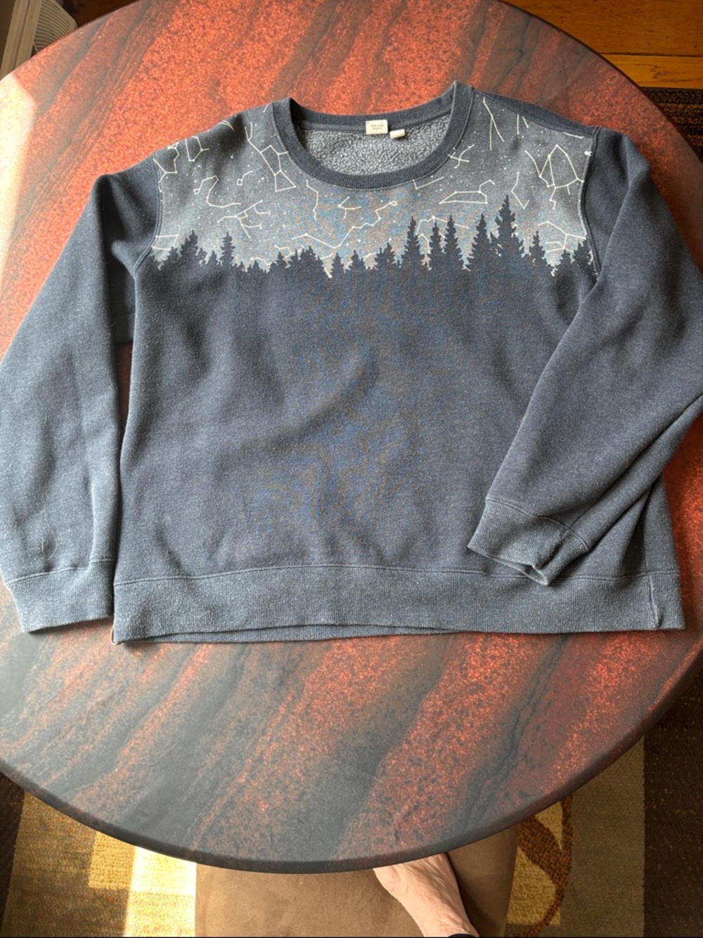 Grey Sweatshirt with Constellations and Trees